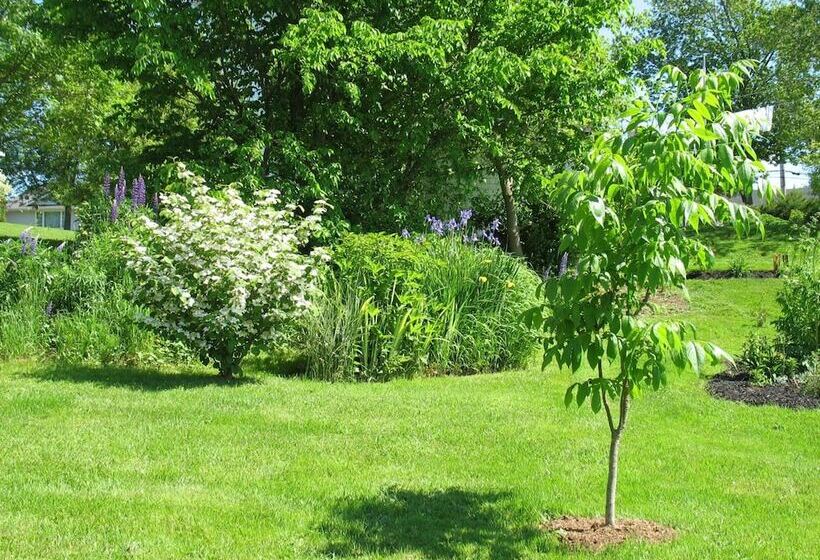 The Nelson House Bed & Breakfast