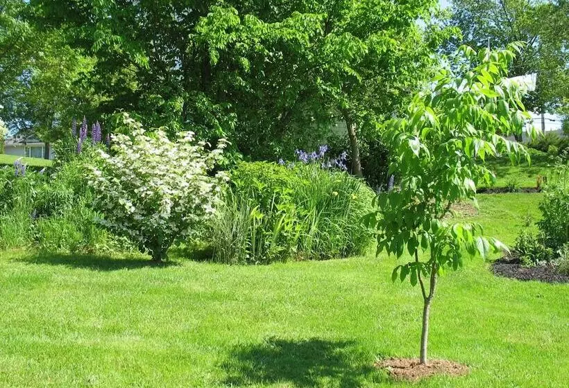 The Nelson House Bed & Breakfast