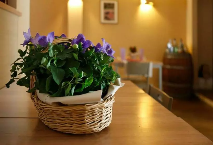 ユースホステル Trattoria Locanda San Rocco