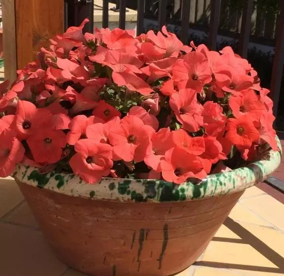 B&b La Casa In Campagna