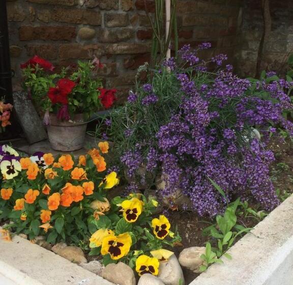 B&b La Casa In Campagna