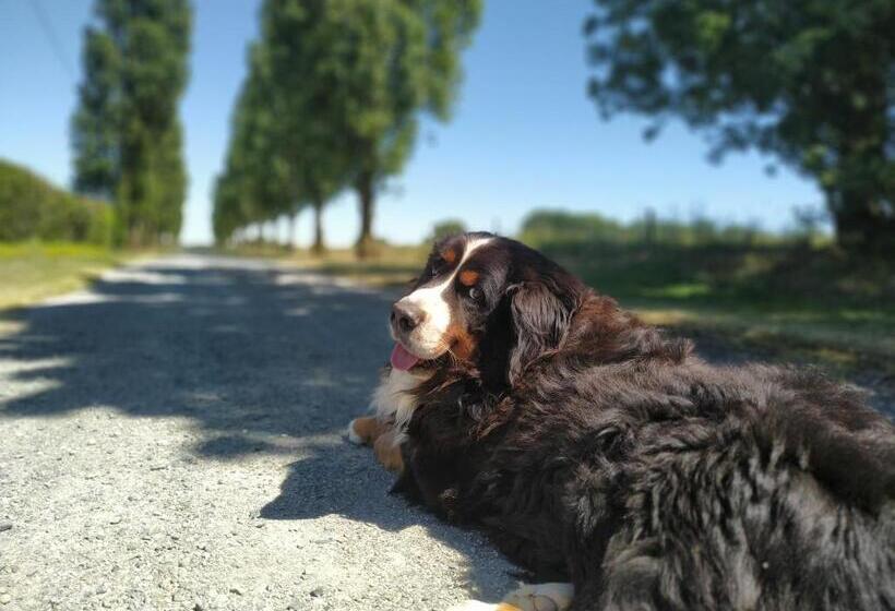 Bed and Breakfast Chambre D'hôte Manoir De La Baudonnière