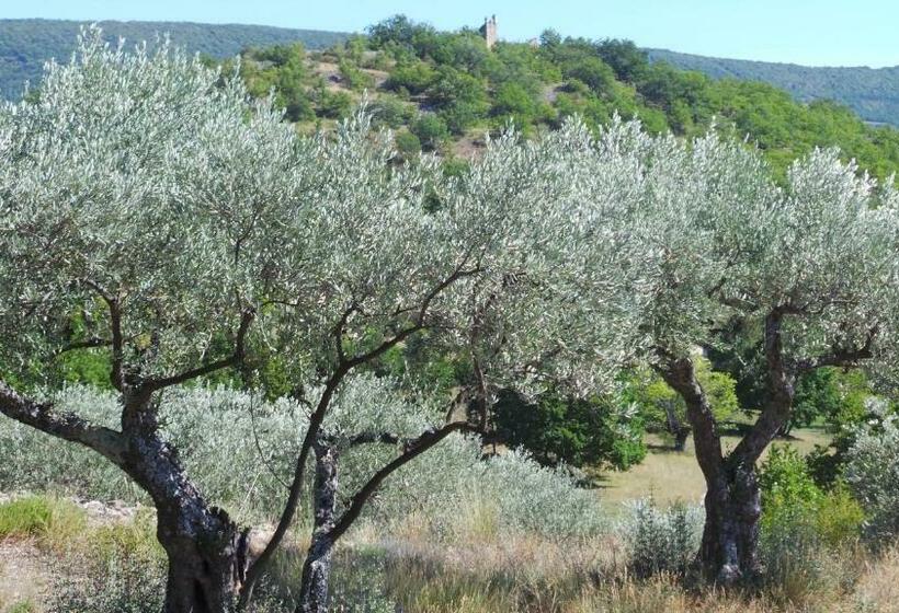 Bed and Breakfast Le Mas Des Ferrayes