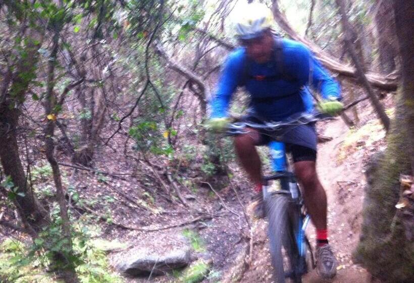 Cabañas Hostel Aquario Papudo