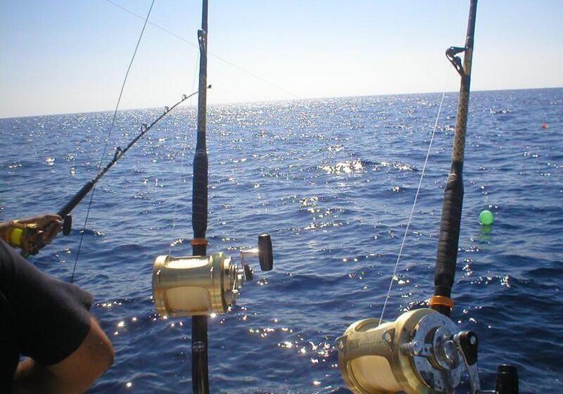 Cabañas Hostel Aquario Papudo