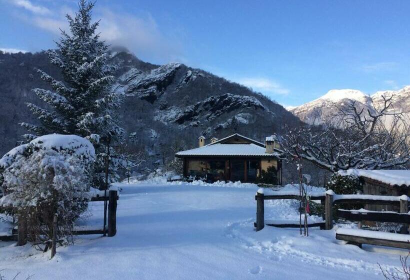 Отель Agriturismo Il Mirtillo B,b