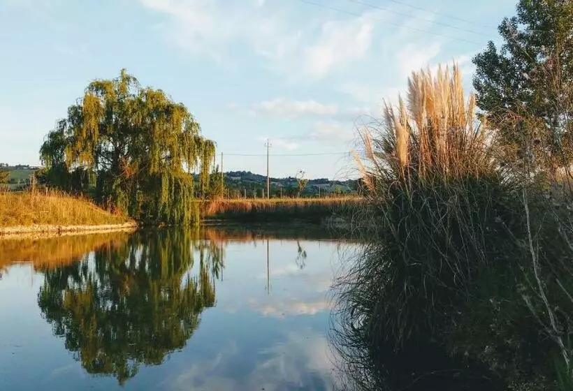 ホテル Agriturismo Regina Di Fiori