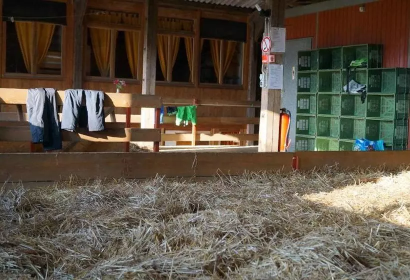 هتل Bolderhof