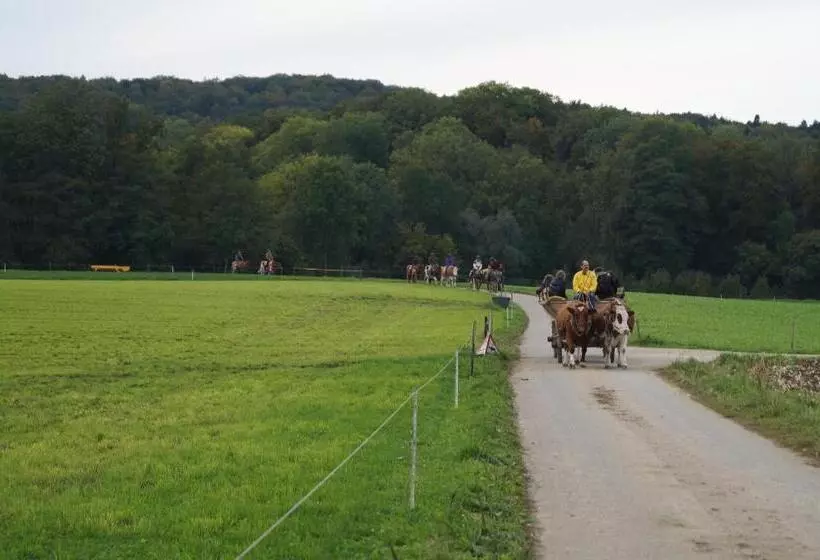 هتل Bolderhof