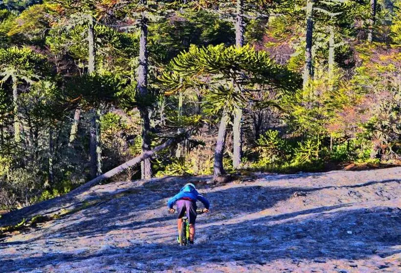 ホテル Complejo Pehuen Lago Lanalhue