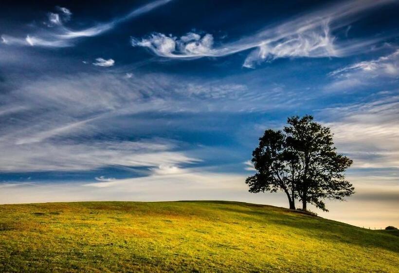 בית מלון כפרי Complejo Pehuen Lago Lanalhue