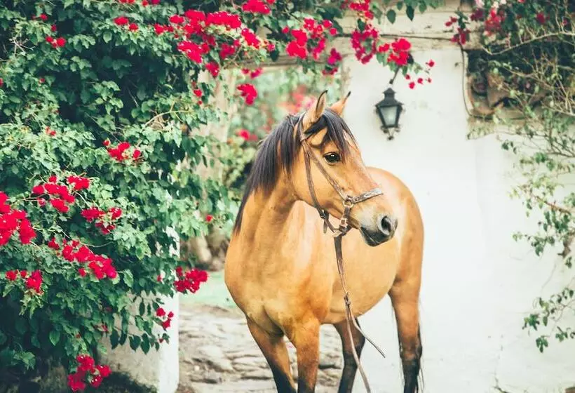Hotelli Hacienda Baza