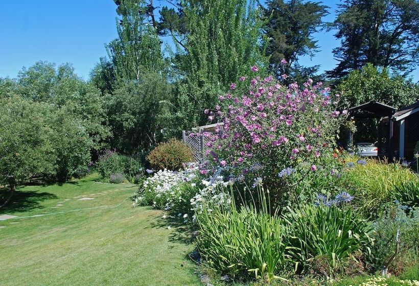 酒店 Olema House At Point Reyes