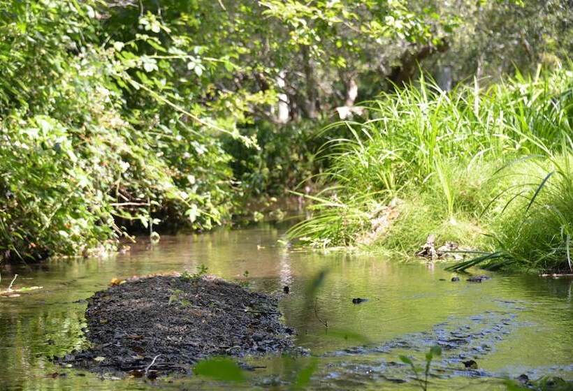 酒店 Olema House At Point Reyes