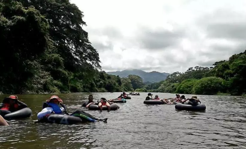 Hotelli Taironaka Ecolodge