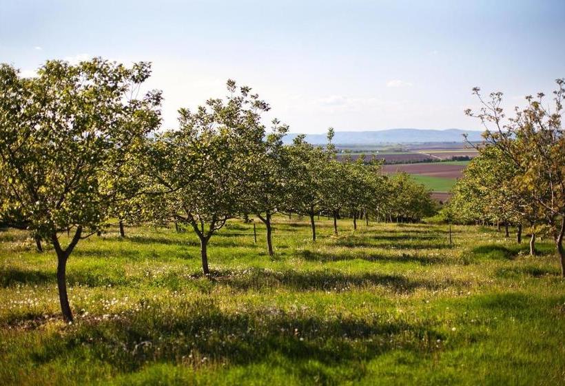 פנסיון Dióliget Zöld Dió Házikó
