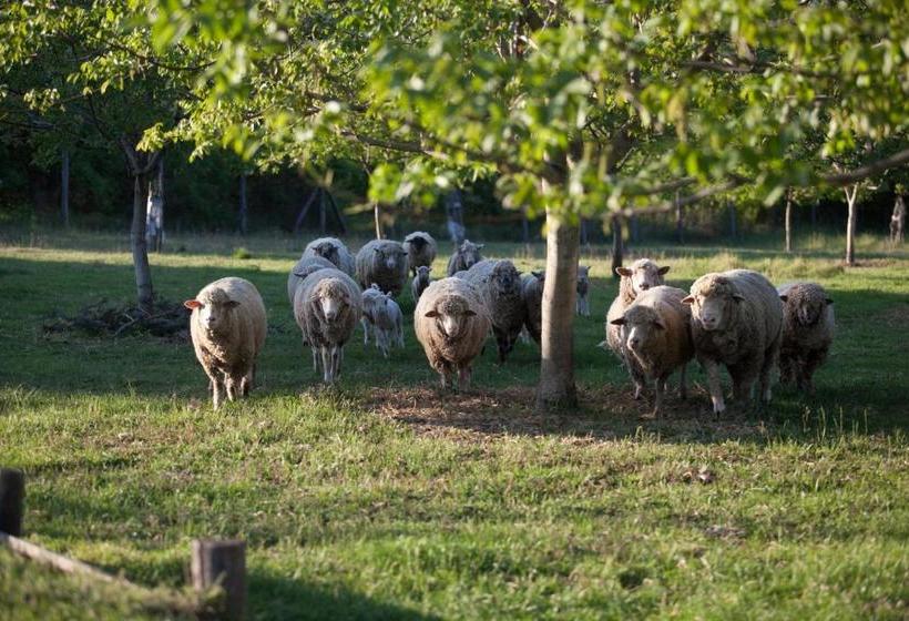 פנסיון Dióliget Zöld Dió Házikó