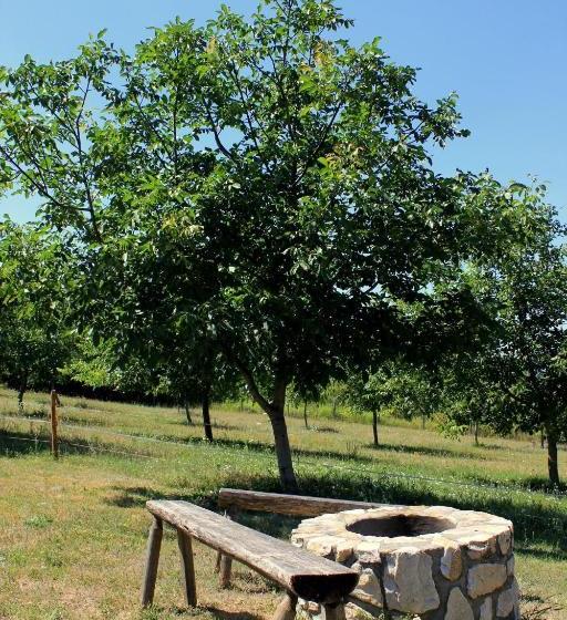 פנסיון Dióliget Zöld Dió Házikó