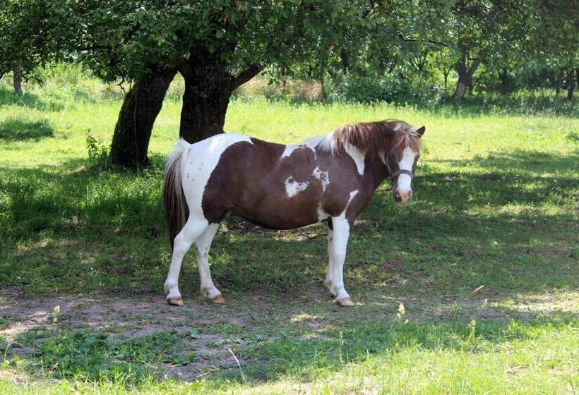 펜션 Gesztenyés Vendégház