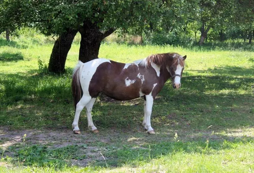 Majatalo Gesztenyés Vendégház