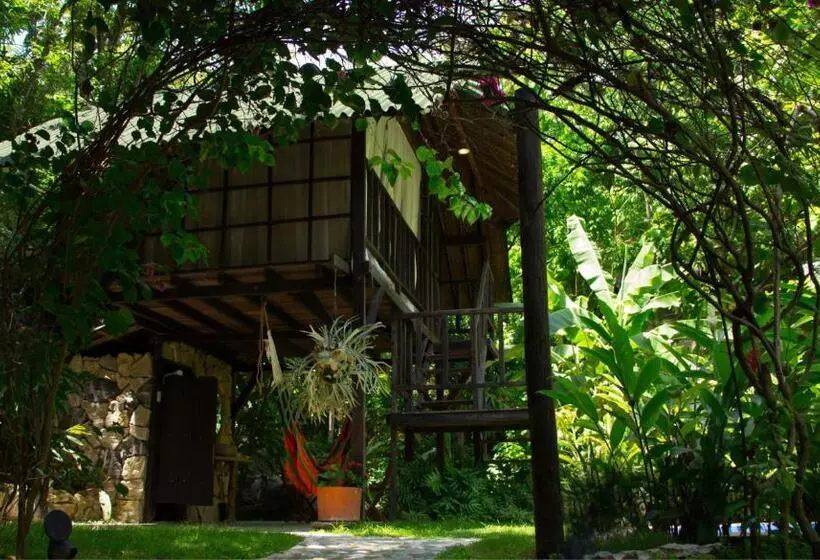 ペンション Monte Verde Hostal