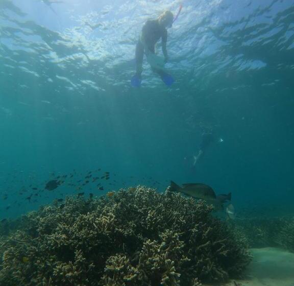 Курорт Great Keppel Island Hideaway