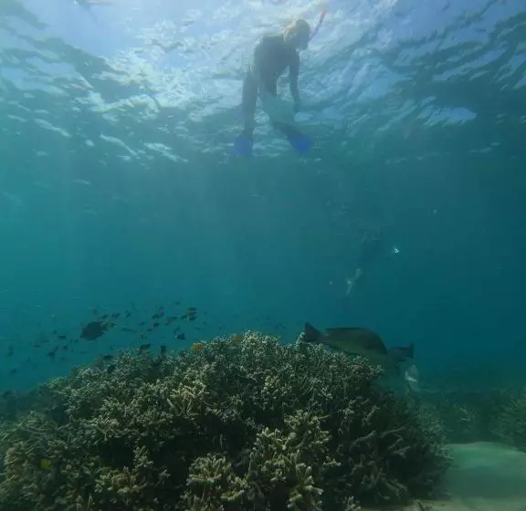 Lomakeskus Great Keppel Island Hideaway