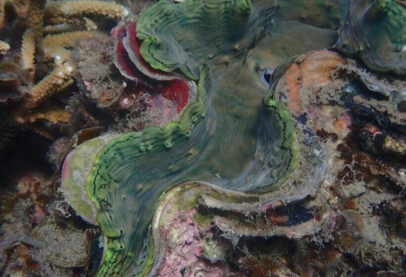 Курорт Great Keppel Island Hideaway