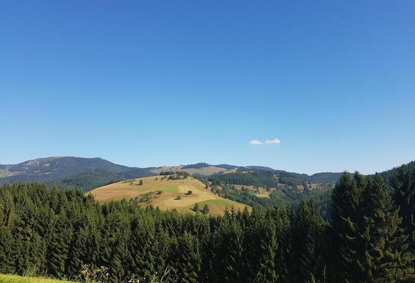 旅馆 Gasthaus Hirtenbrunnen