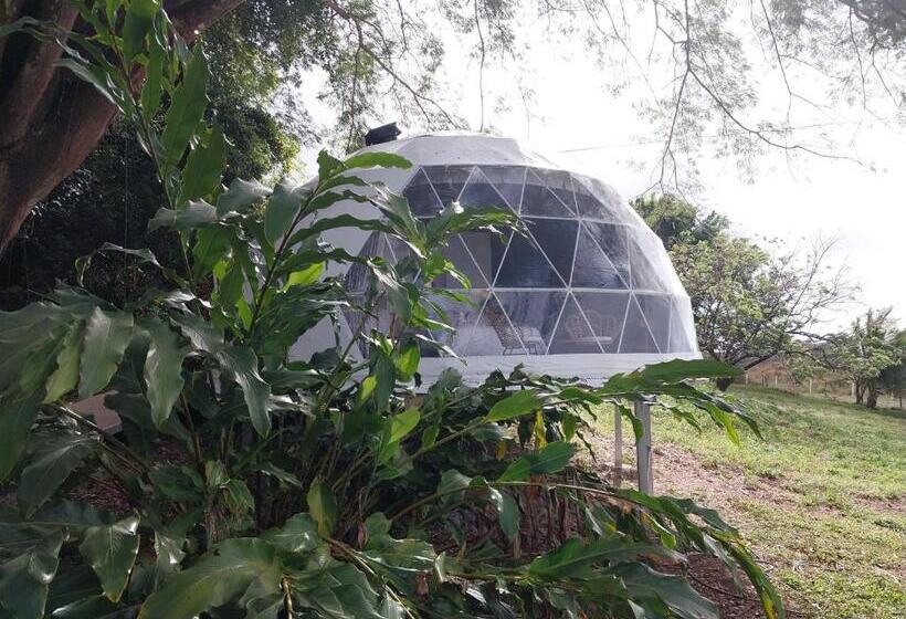 Общежитие Vida Aventura Ranch