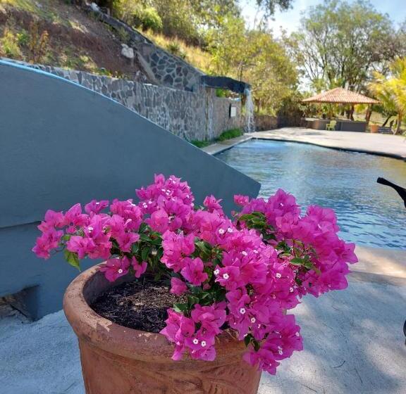 Общежитие Vida Aventura Ranch