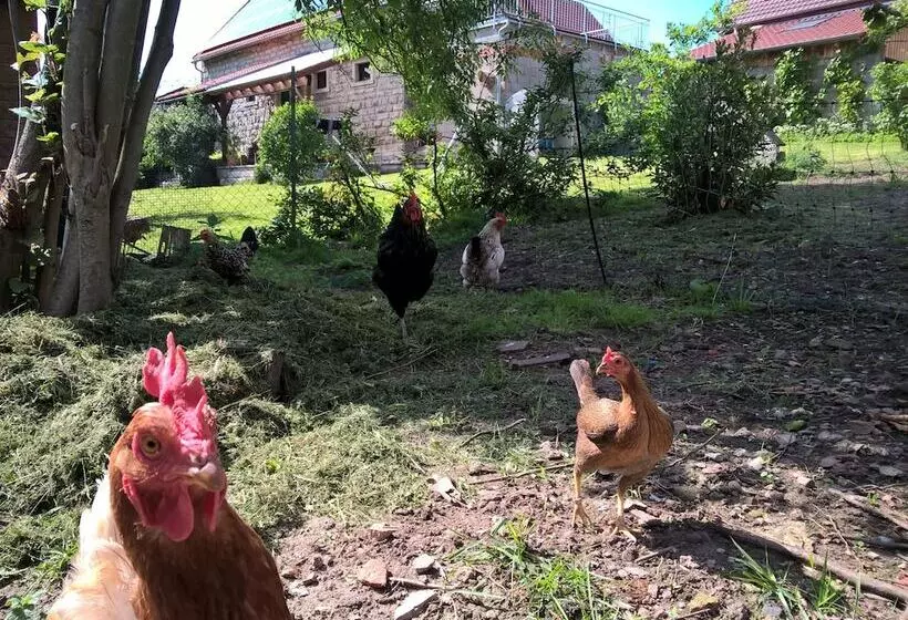 Aamiaismajoitus (B&B) Atelier Reinhart