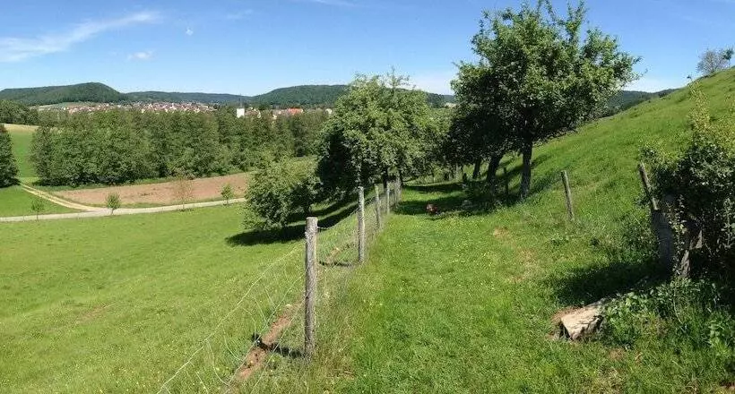 Aamiaismajoitus (B&B) Atelier Reinhart