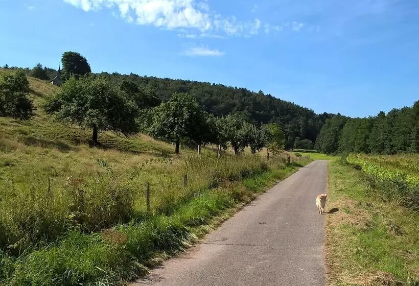 Aamiaismajoitus (B&B) Atelier Reinhart