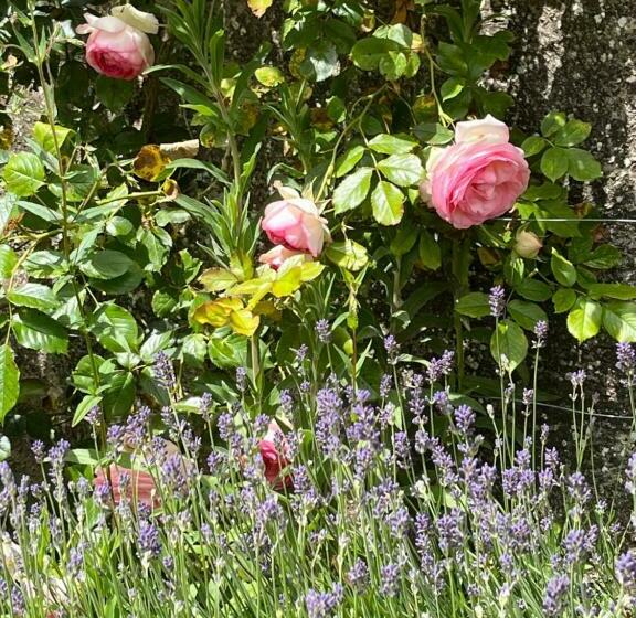 민박 Chambres D'aumont