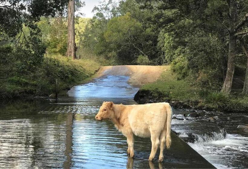 Bed and Breakfast Copeland House