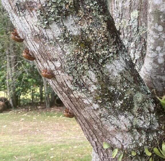 Bed and Breakfast Copeland House