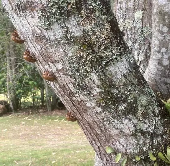 ベッドアンドブレックファースト Copeland House