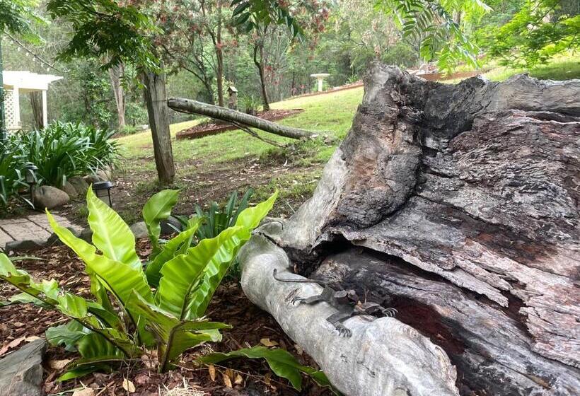 Bed and Breakfast Copeland House