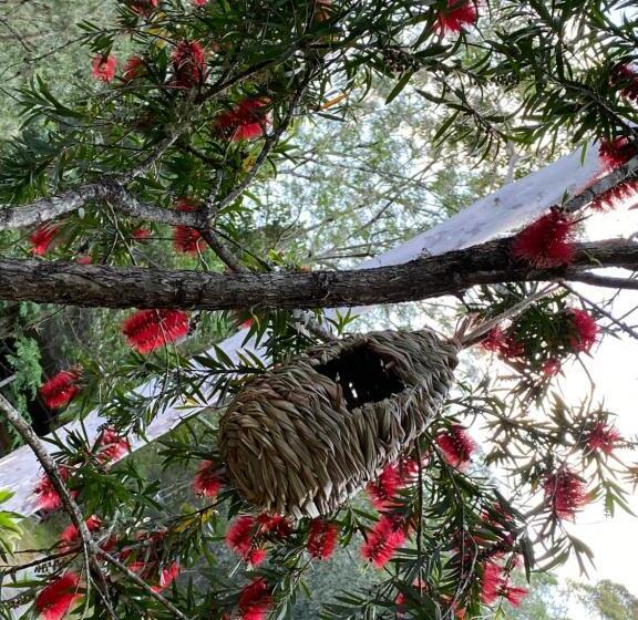 Bed and Breakfast Copeland House