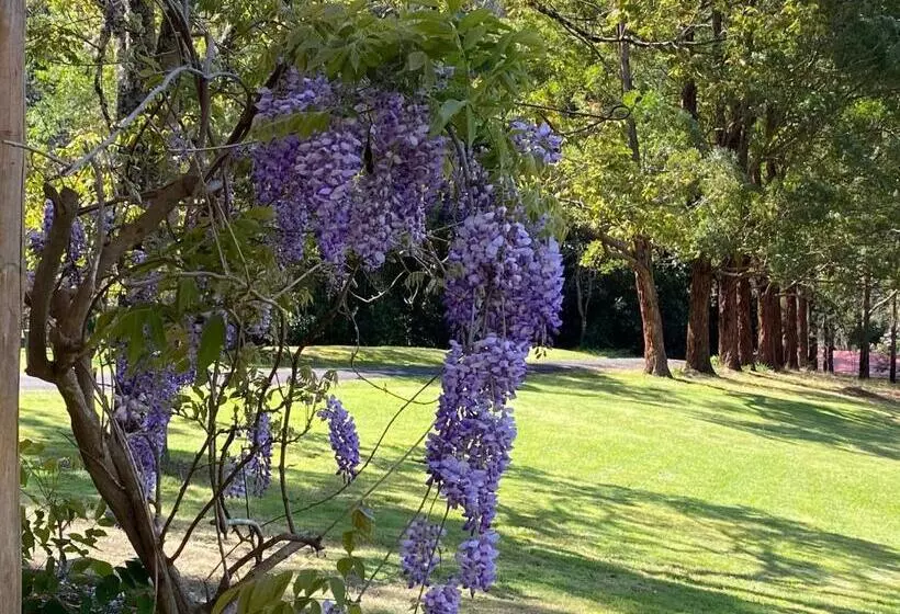 ベッドアンドブレックファースト Copeland House