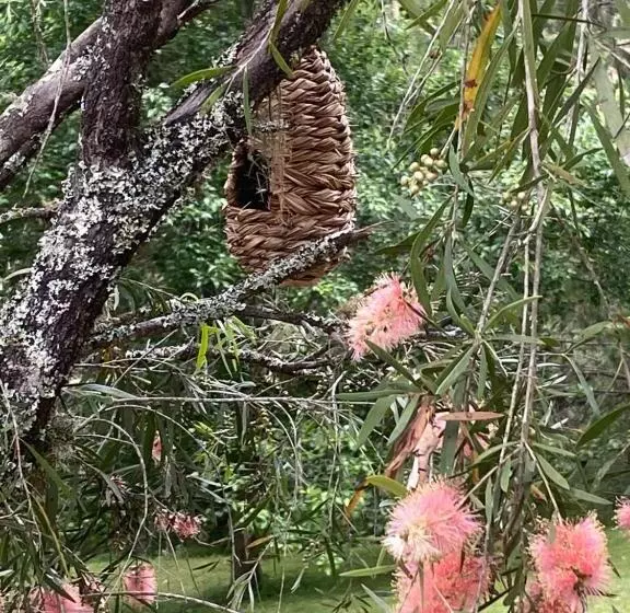 ベッドアンドブレックファースト Copeland House