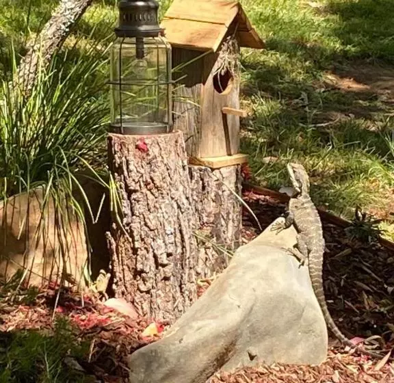 ベッドアンドブレックファースト Copeland House