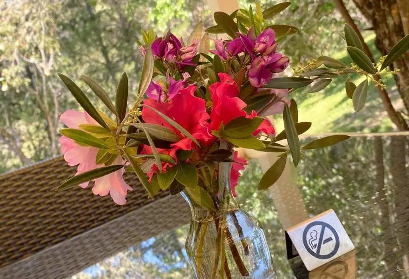 ベッドアンドブレックファースト Copeland House