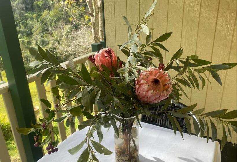 Bed and Breakfast Copeland House