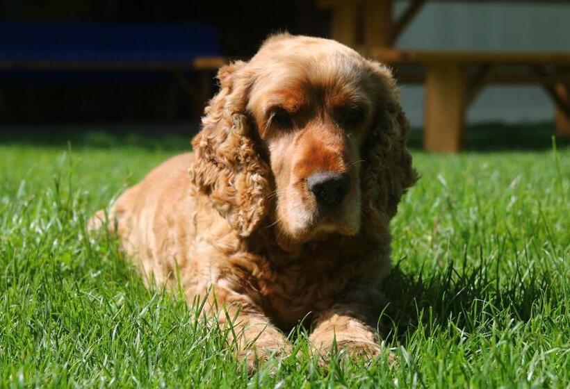 민박 Gyulavezér Lovasbirodalma