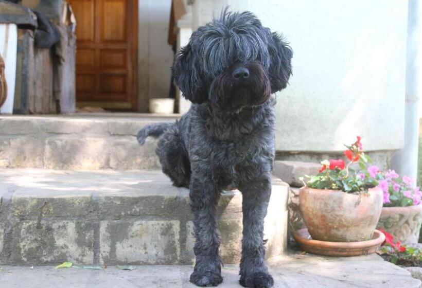 민박 Gyulavezér Lovasbirodalma