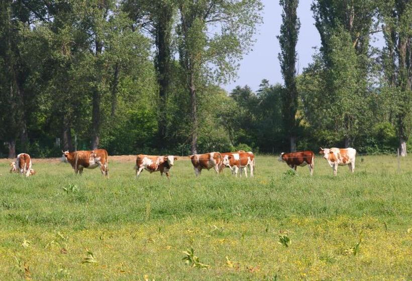 민박 Gyulavezér Lovasbirodalma