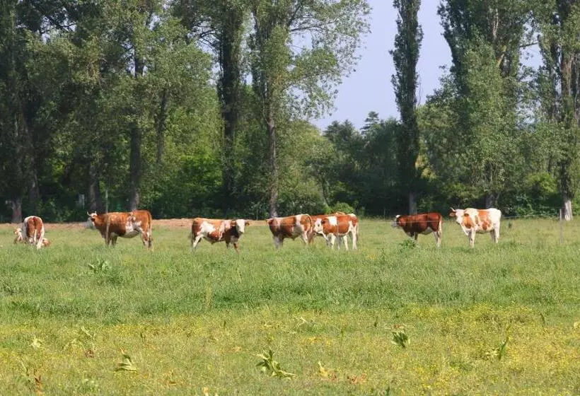 ベッドアンドブレックファースト Gyulavezér Lovasbirodalma