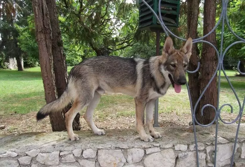 Aamiaismajoitus (B&B) Le Clos De La Font Queroy